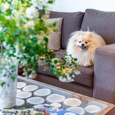 Rajski Nad Jeziorem Radacz 보르네 술리노보