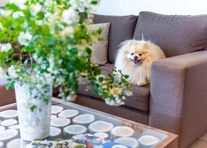 Rajski Nad Jeziorem Radacz Borne Sulinowo